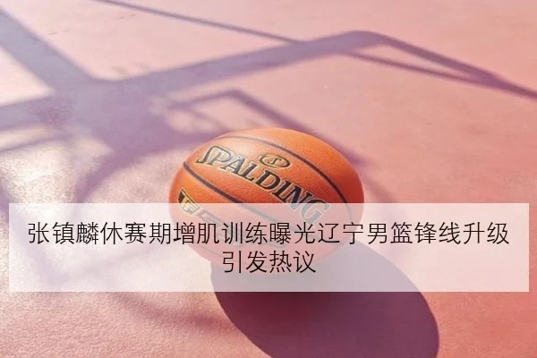 张镇麟休赛期增肌训练曝光辽宁男篮锋线升级引发热议